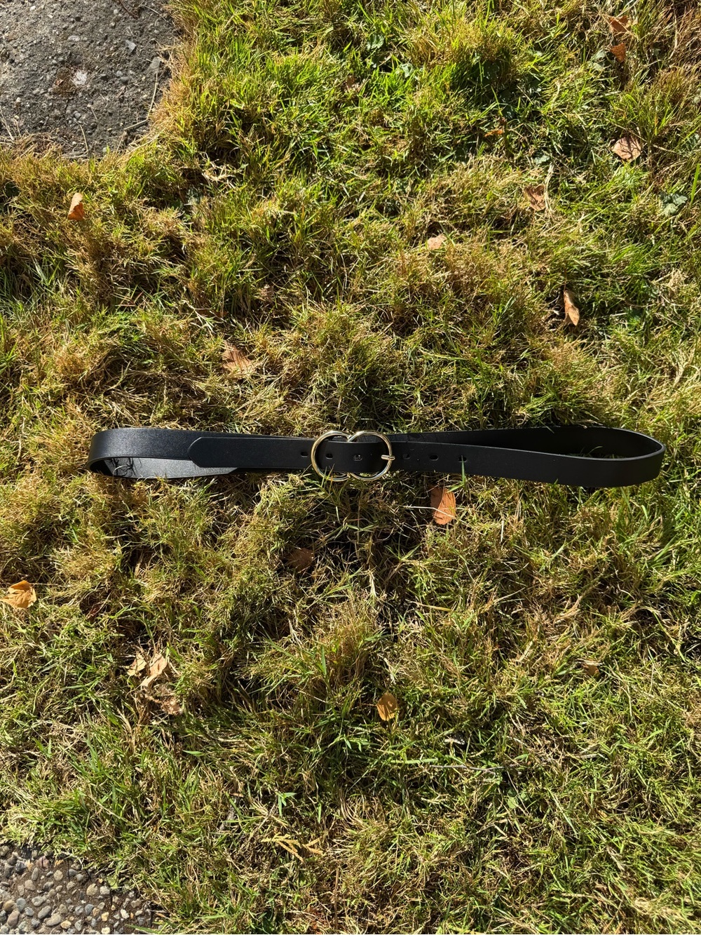 Target Belt Gold buckle